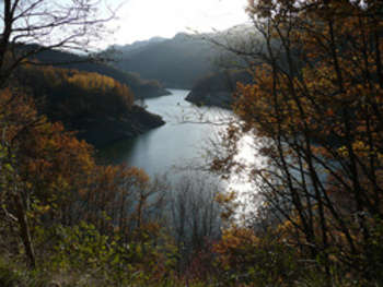 Lago - foto di pizzodisevo