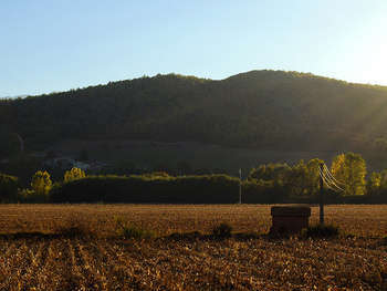 Agricoltura - foto di Hop-Frog