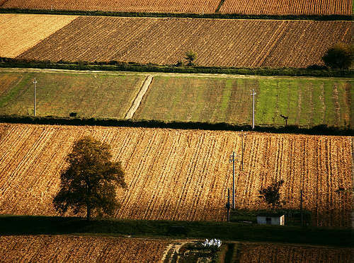 Agricoltura - foto di Hop-Frog