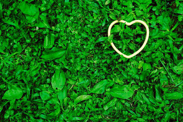 Green Economy - foto di CarbonNYC