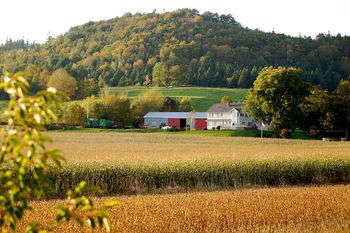 Agricoltura - foto di Sharingknowledge